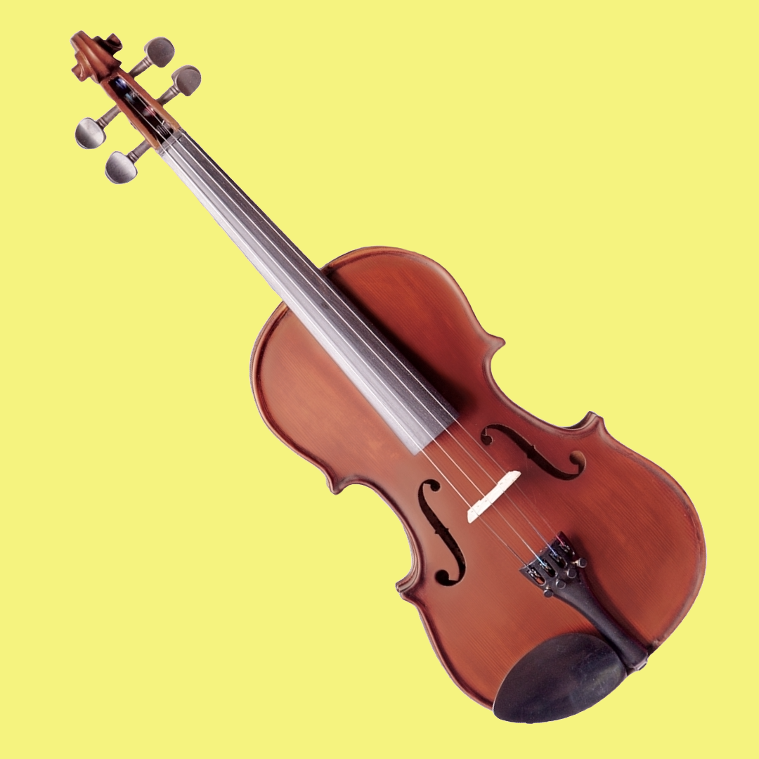 Vivo Neo Plus Student 1/8 Violin Outfit (Beginner Violin)