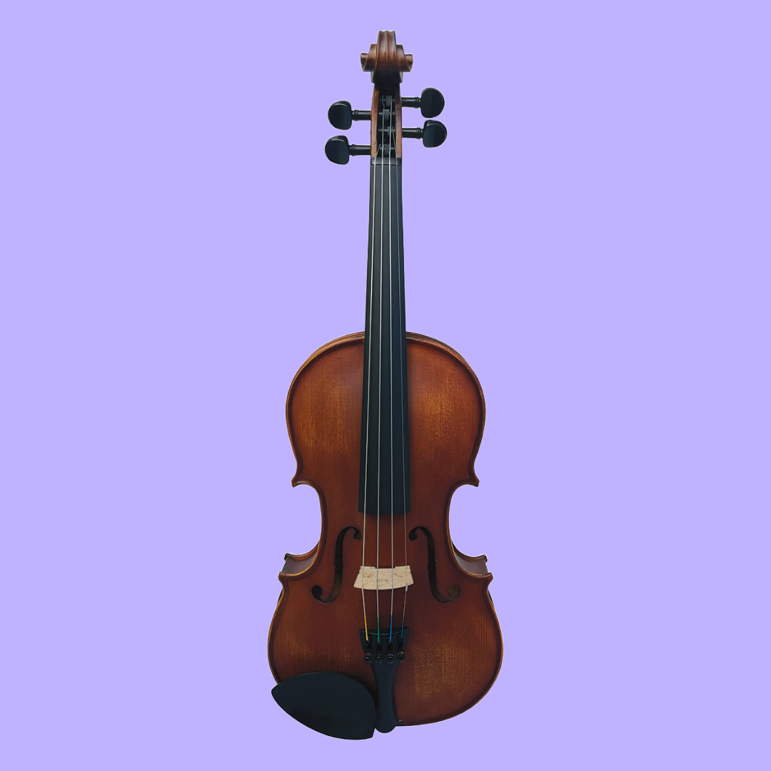 Vivo Alpha 3/4 Student Violin Outfit with Case & Bow (Beginner Violin)