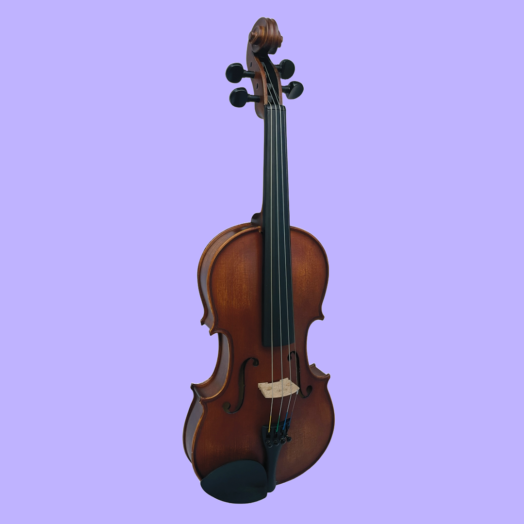 Vivo Alpha 3/4 Student Violin Outfit with Case & Bow (Beginner Violin)