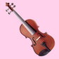 Vivo Neo Plus Student 1/4 Violin Outfit (Beginner Violin)