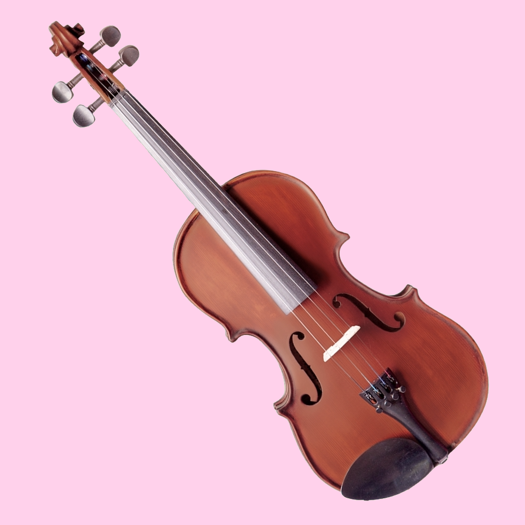 Vivo Neo Plus Student 1/4 Violin Outfit (Beginner Violin)