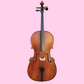 Vivo Student 1/8 Cello Outfit with Bow & Padded Bag (Beginner Cello)