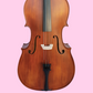 Vivo Student 1/8 Cello Outfit with Bow & Padded Bag (Beginner Cello)