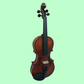 Vivo Alpha 1/2 Student Violin Outfit with Case & Bow -(Beginner Violin)