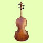 Vivo Neo 15.5" Student Viola Outfit with Case & Bow