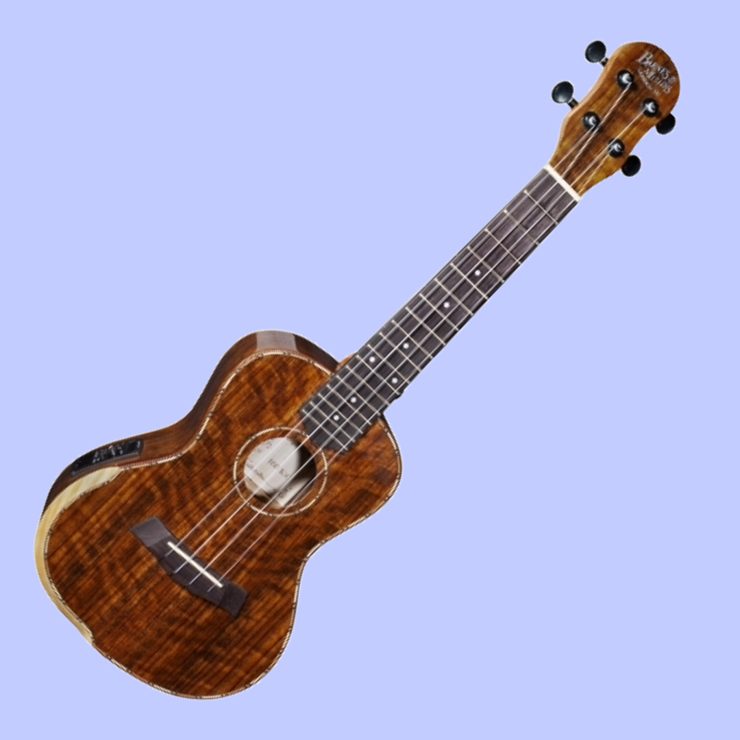 Barnes & Mullins BMUK5CE Concert Walnut Ukulele with Pickup & Backpack Case