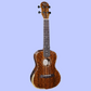 Barnes & Mullins BMUK5CE Concert Walnut Ukulele with Pickup & Backpack Case