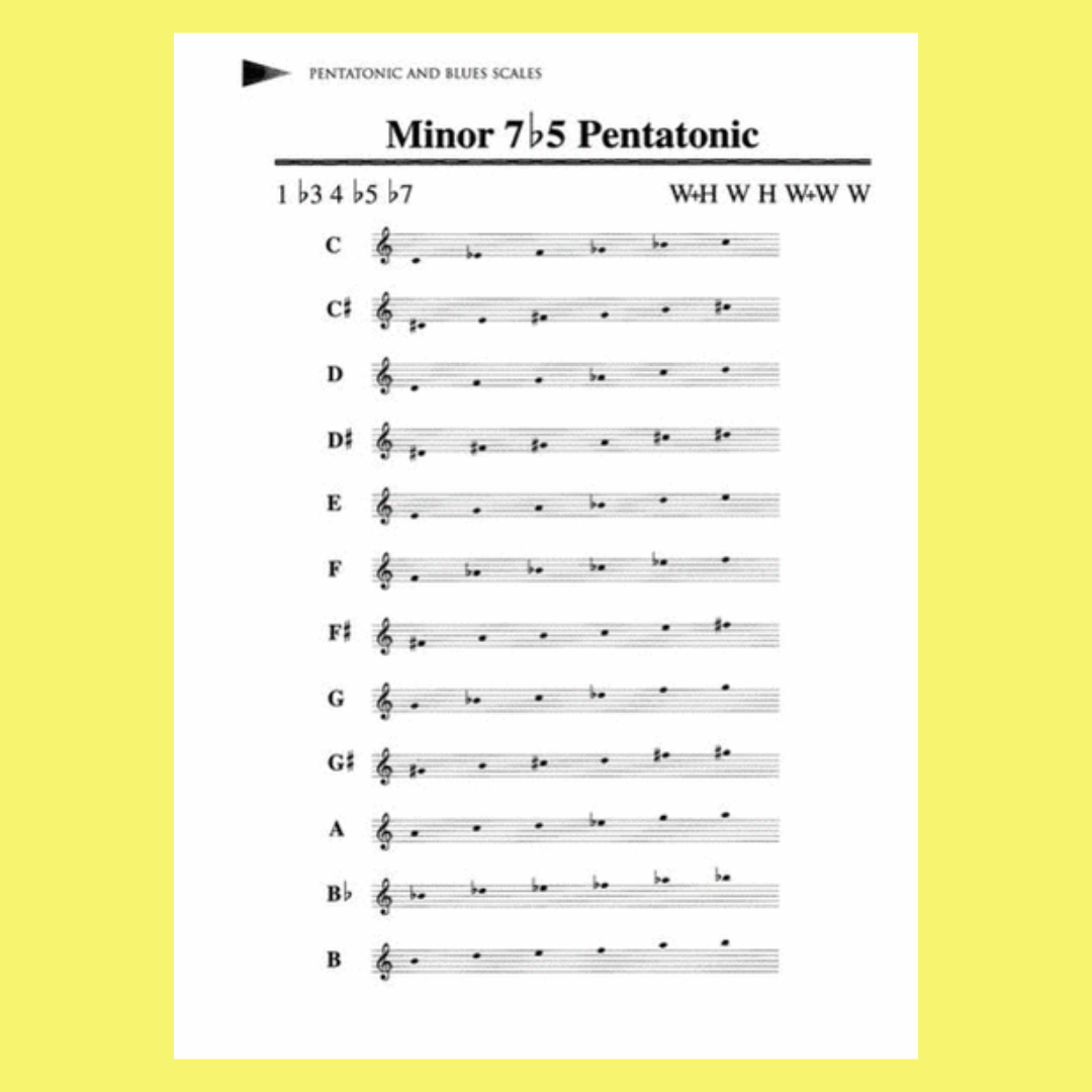 Scales Guitar Reference Guide Book