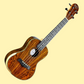 Barnes & Mullins BMUK8C Concert Becote Ukulele