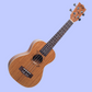 Flight DUC323 Concert Mahogany Ukulele with Padded Gig Bag