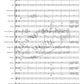 Caribbean Holiday - Concert Band Level 2 Score/Parts