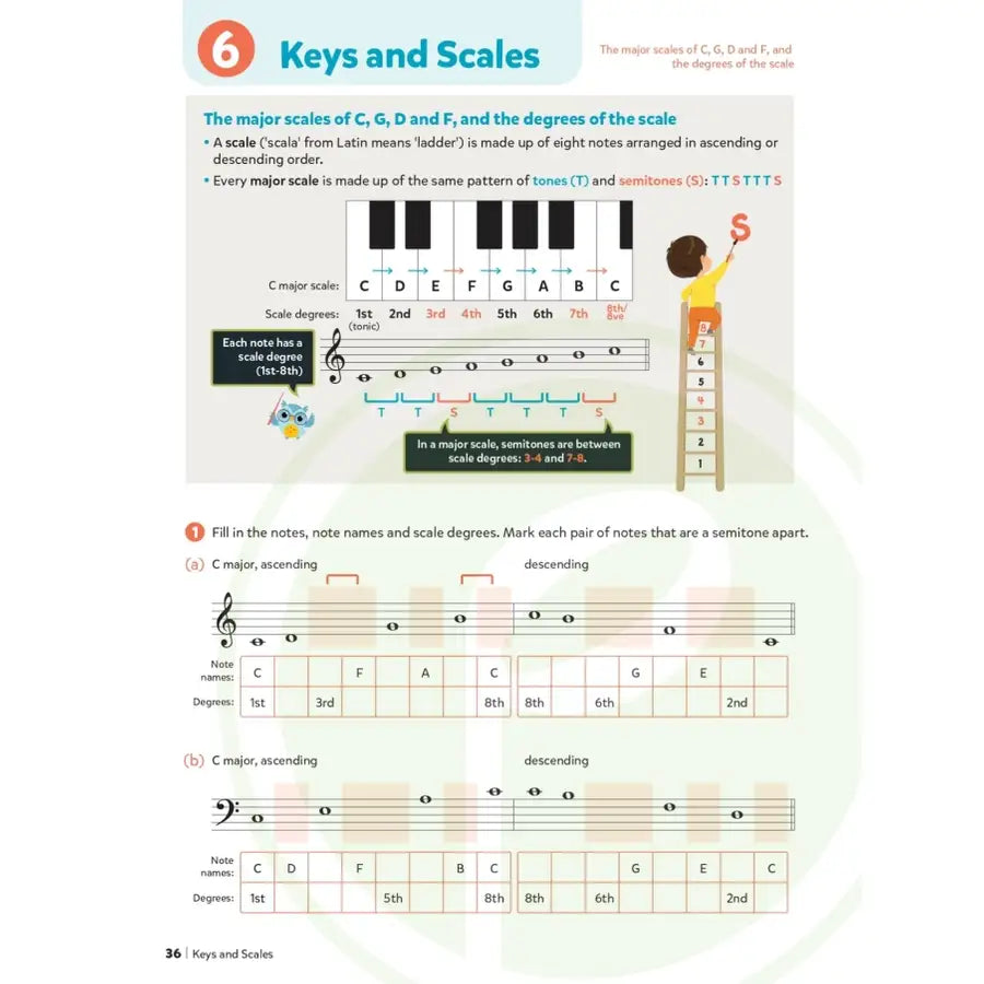 Music Theory For Young Musicians - Grade 1 Book (New 2024 Revised 4th Edition)