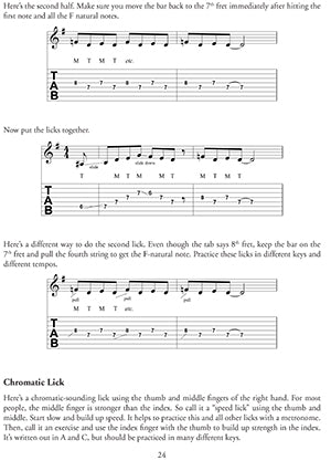 Mastering The Lap Steel Guitar Book/Video