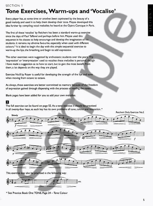 Trevor Wye - Complete Daily Exercises For The Flute Book