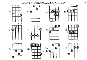 Ukulele Pocketbook