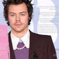 Harry Styles - The Illustrated Biography Hardcover Book - Carolyn Mchugh