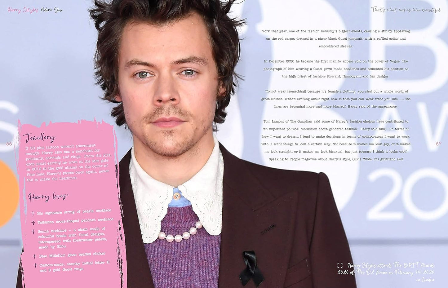 Harry Styles - The Illustrated Biography Hardcover Book - Carolyn Mchugh