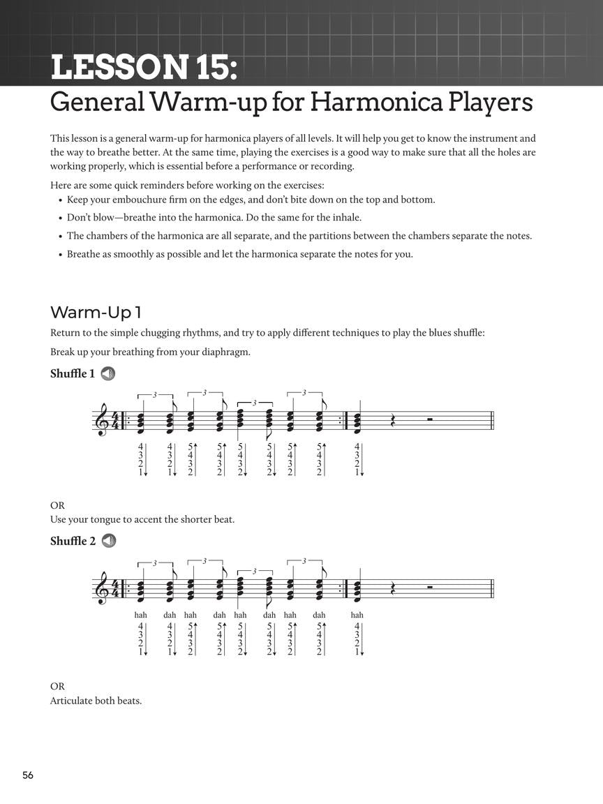 Do-It-Yourself Harmonica Book/Olm