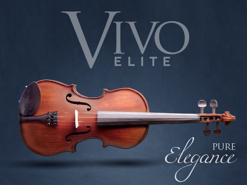 Vivo Neo 14" Student Viola Outfit with Case & Bow (Beginner Viola)