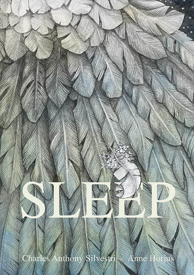 Sleep - Illustrated Childrens Book