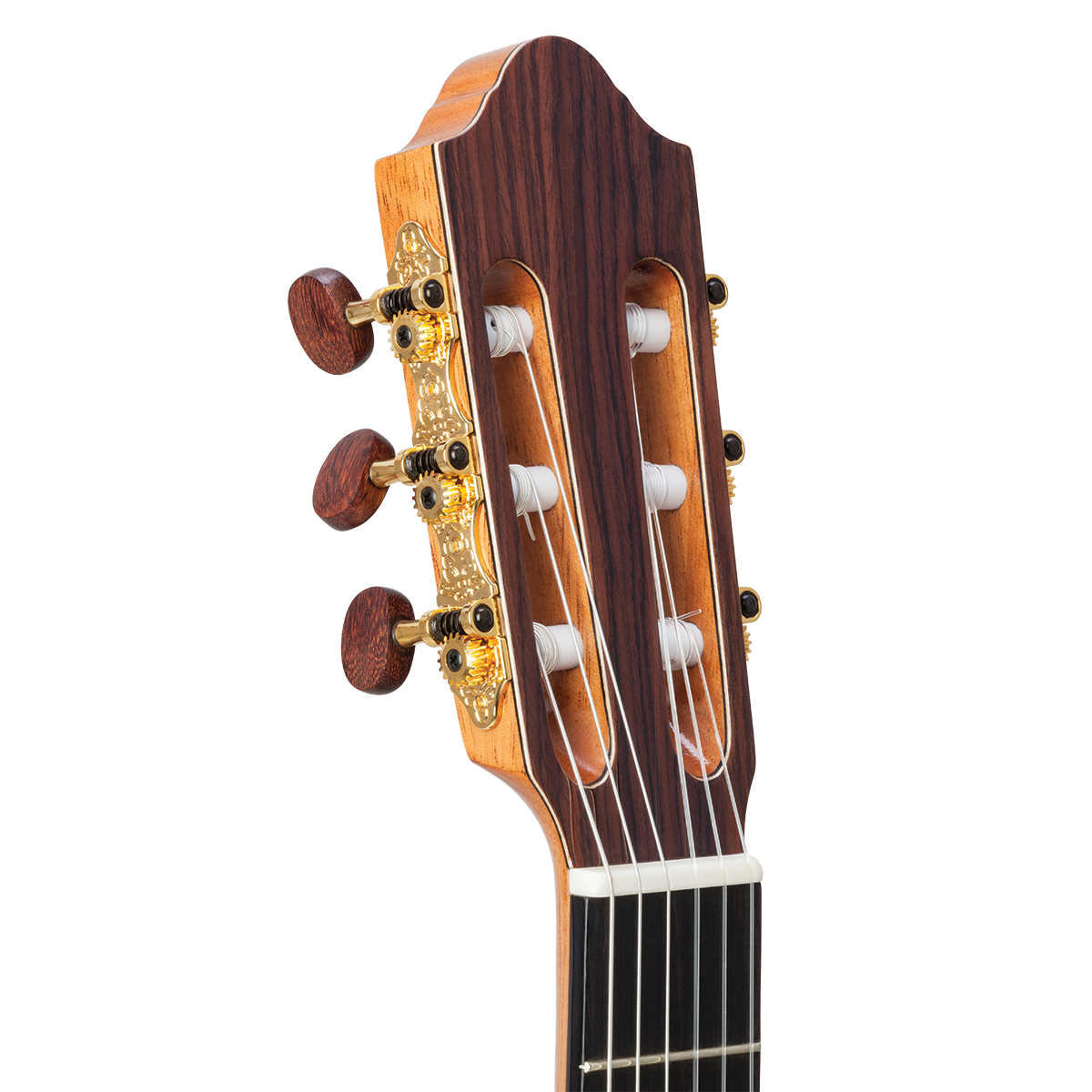 Kremona Fiesta Classical Cutaway Electric with Case (F65CWSB)