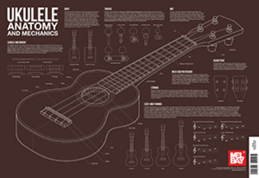 Ukulele Anatomy And Mechanics Wall Chart