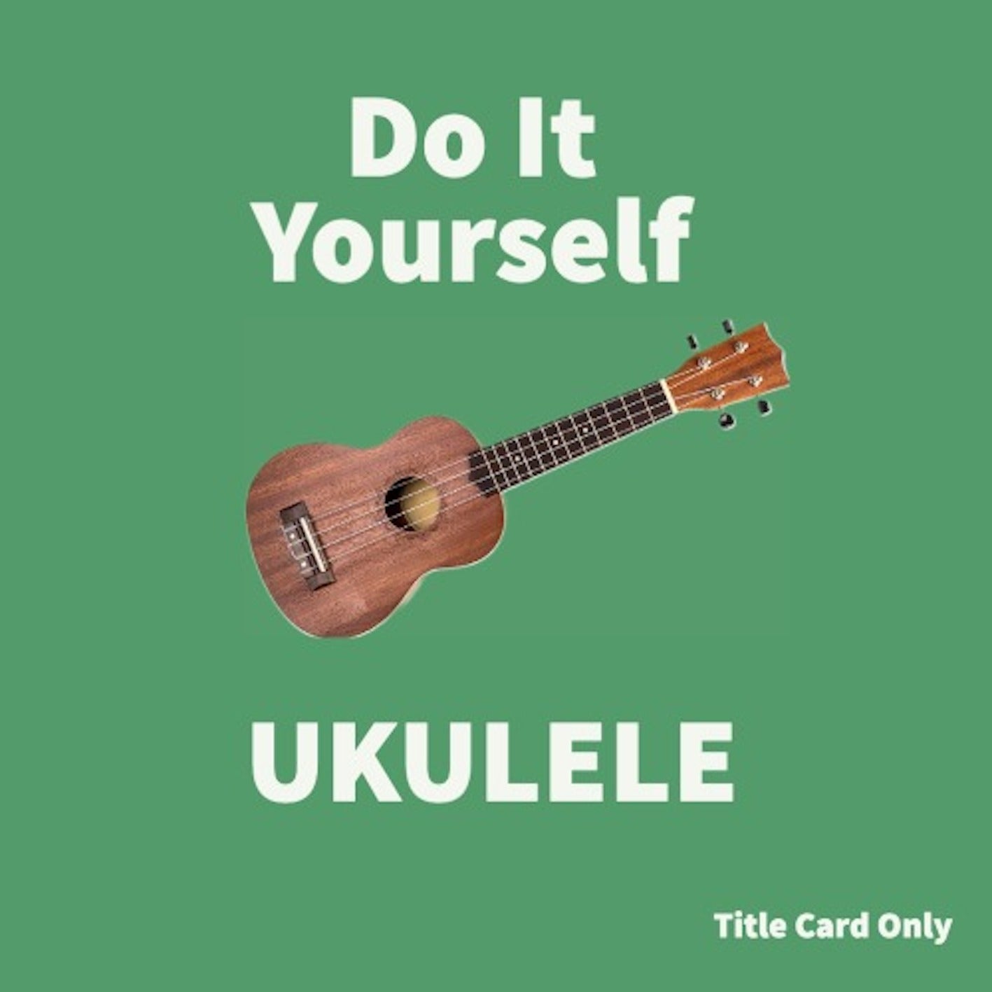 Do It Yourself Ukulele Book/Olm