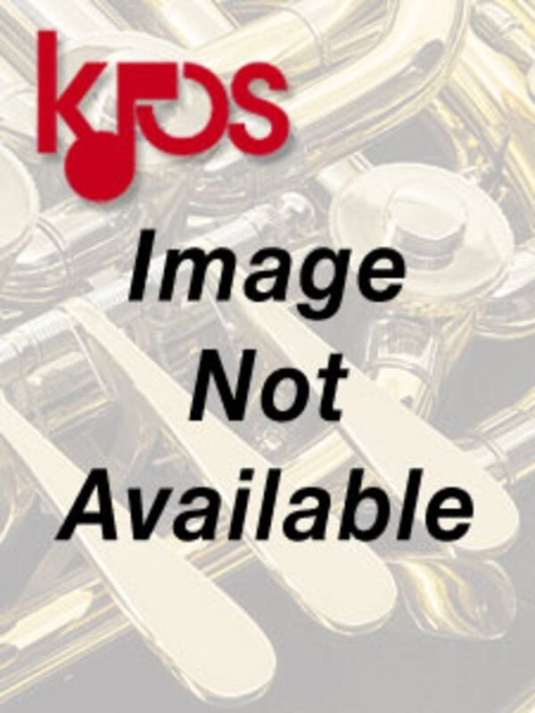 Tradition Of Excellence Bk 2 E Flat Horn Bk/Dvd